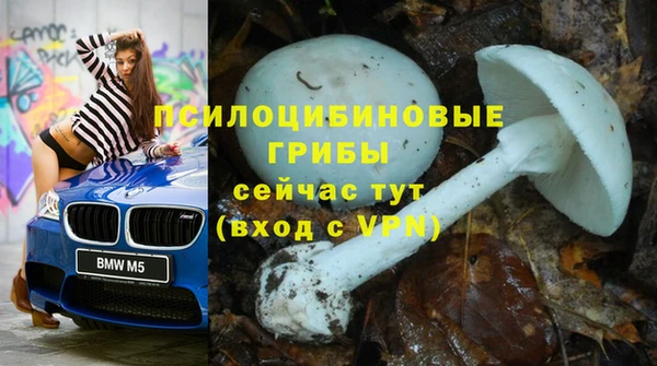 2c-b Арсеньев