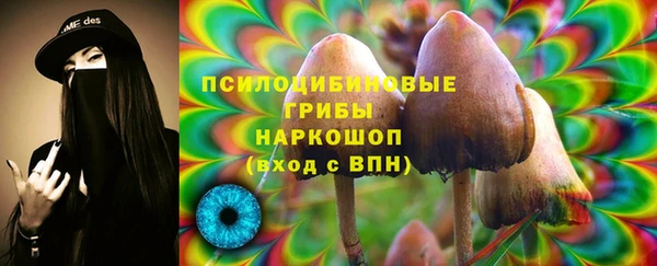 соль ск Аркадак